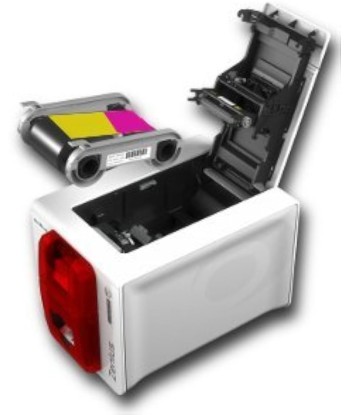 Zenius Classique Rouge Feu