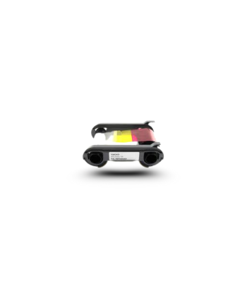 Ruban Couleur Primacy 1