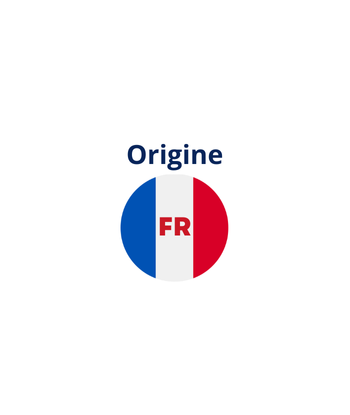 Courroie de Ruban Evolis pour Zenius, Primacy & Elypso - Réf : CP013159